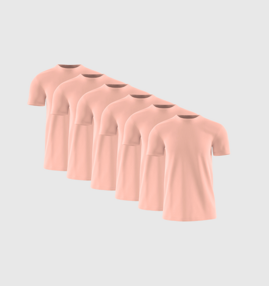 Pack de 6 - Saumon